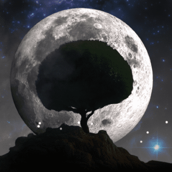 3D Moon & Tree
