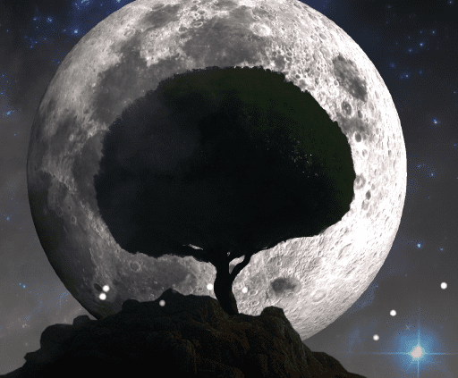 3D Moon & Tree